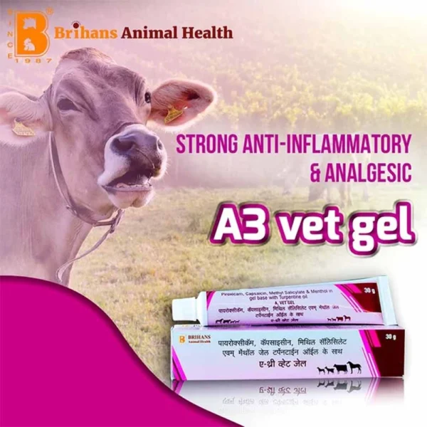 A3 Vet Gel - Image 3