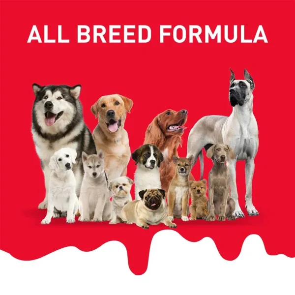 Absolute Calcium Milk Bone - Image 4