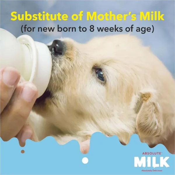 Absolute Milk - Image 7