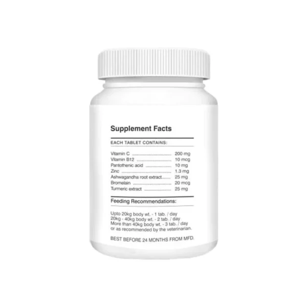 Absolute Tablets Digestion - Image 2