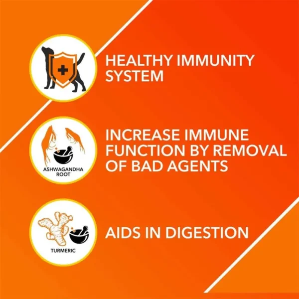 Absolute Tablets Digestion - Image 3