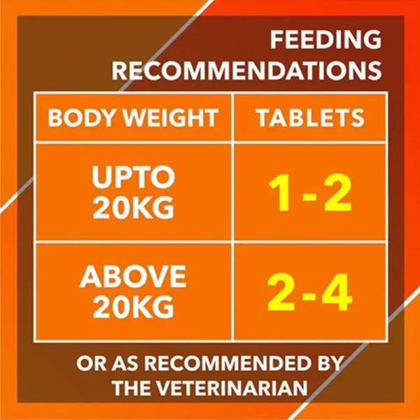 Absolute Tablets Digestion - Image 5