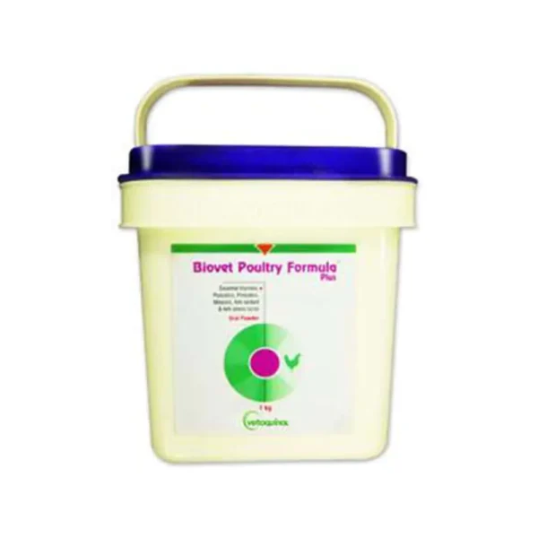 BPF Plus