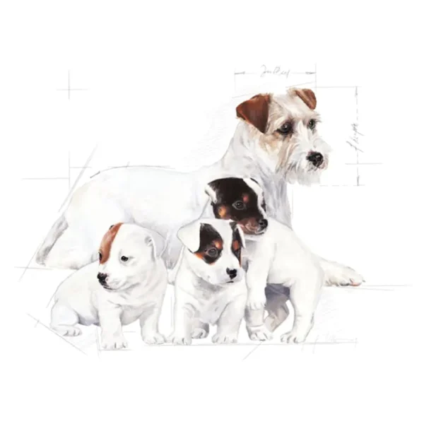 Babydog Milk - Image 2