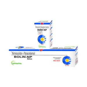 Bolin-NP