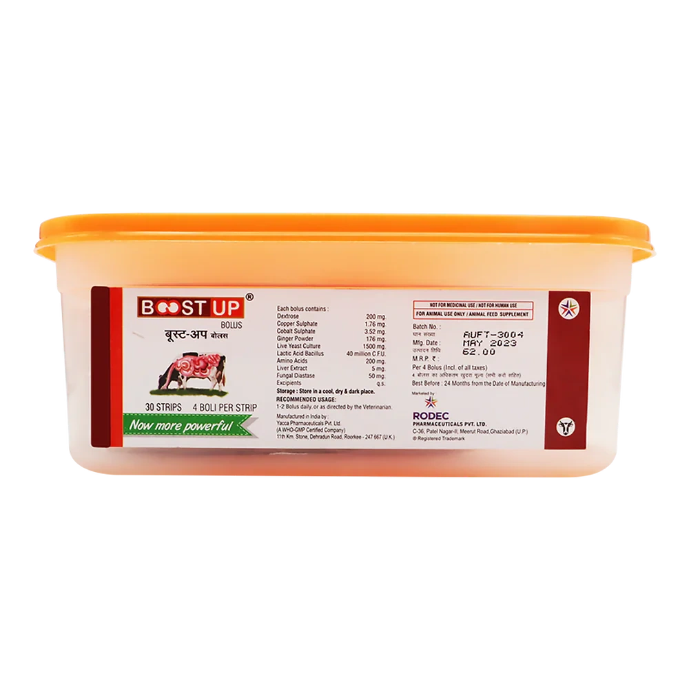 Boost Up Bolus - Image 2