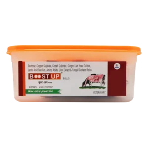Boost Up Bolus