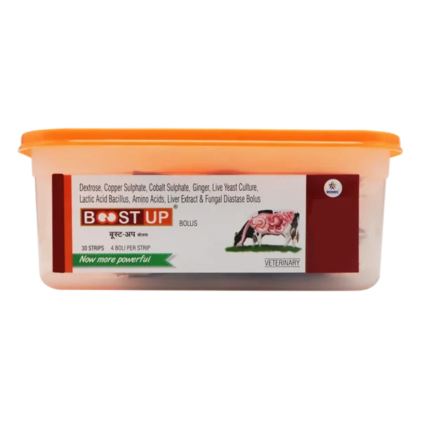 Boost Up Bolus