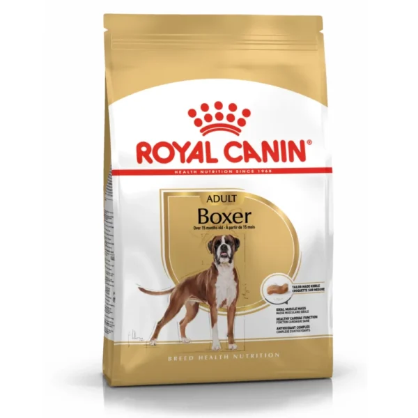 Boxer Adult