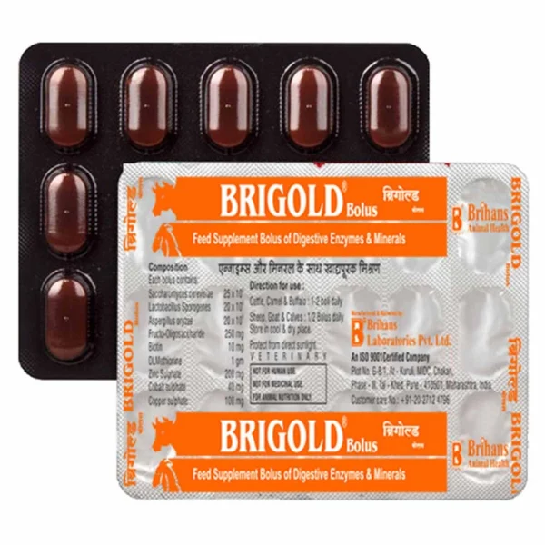 Brigold Bolus - Image 2