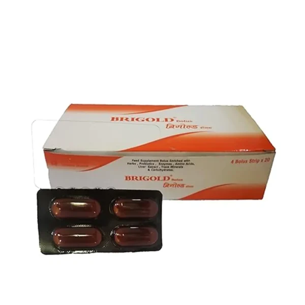 Brigold Bolus - Image 3