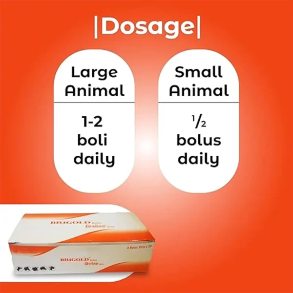 Brigold Bolus - Image 7