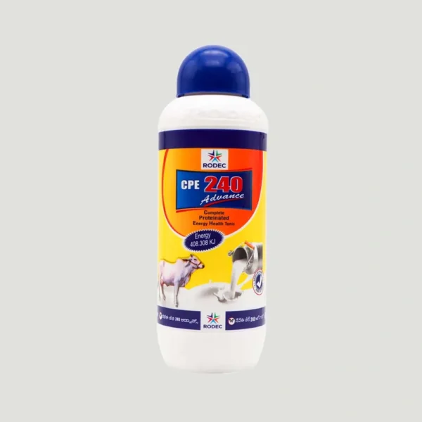 CPE 240 Advance