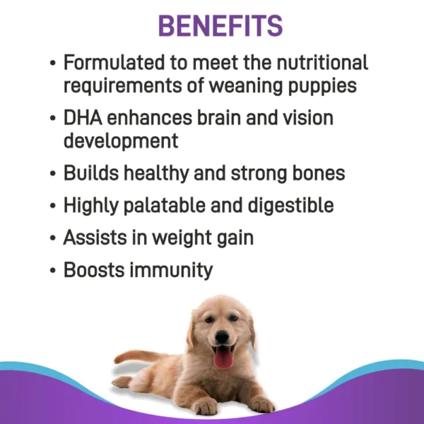 Canine Creek Pup Booster - Image 3