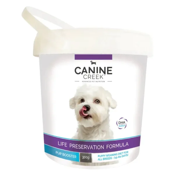 Canine Creek Puppy