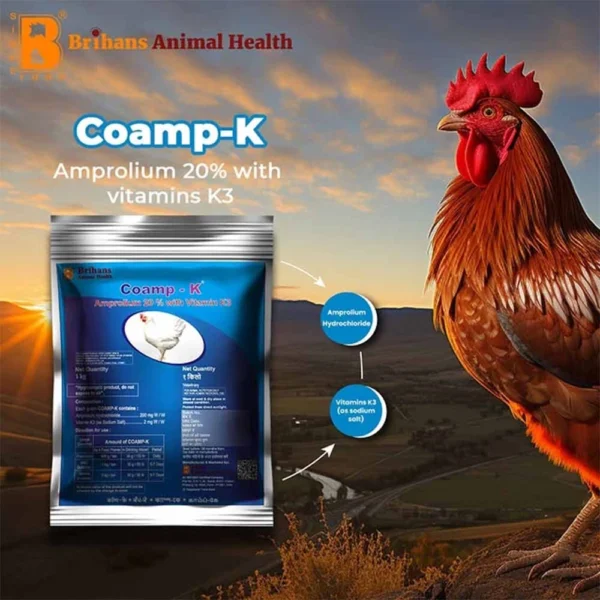 Coamp-K - Image 4