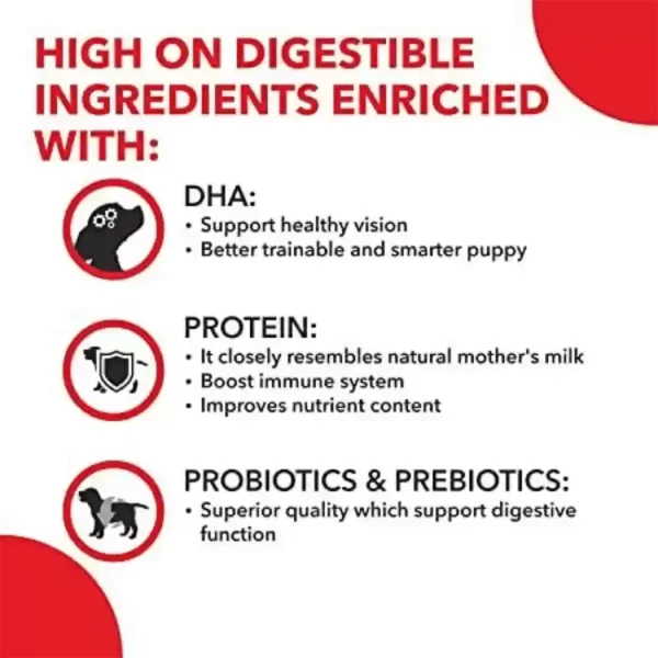 Daily Nutrition Pup Booster - Image 4