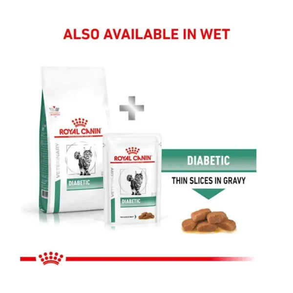 Royal Canin Diabetic Adult Dry Cat Food - Image 2