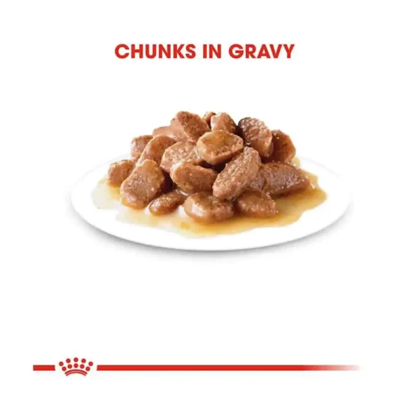 Digest Sensitive Gravy - Image 3