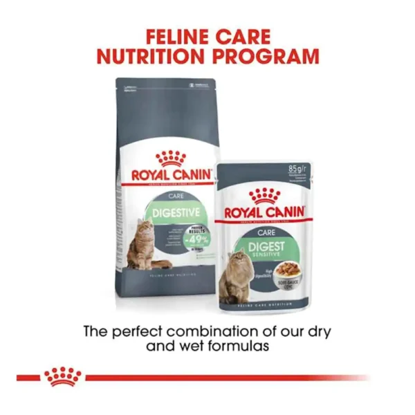 ROYAL CANIN Digestive Care Complete Dry Adult Cat Food - Image 3