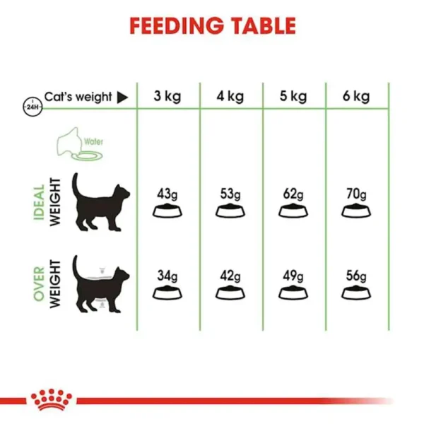 Digestive Care - Image 3