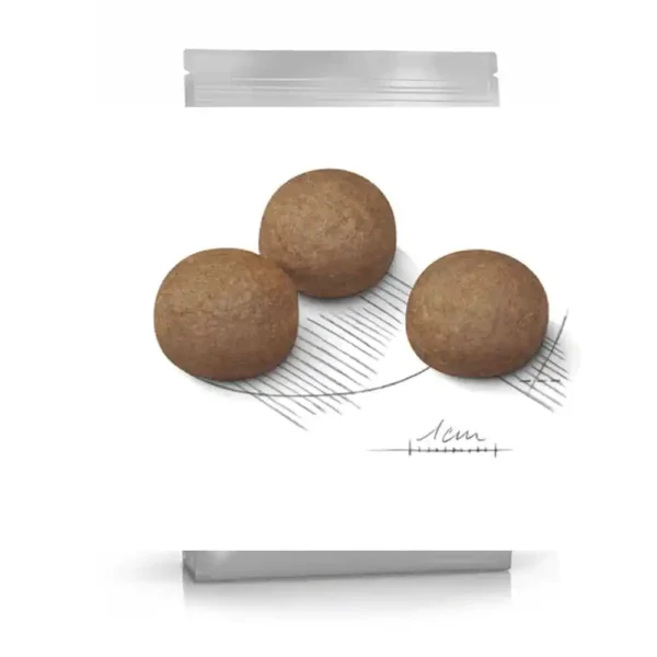 Digestive Care Maxi - Image 3