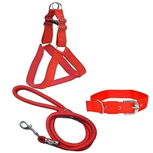 Dog Belt