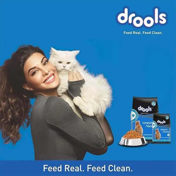 Drools Cat Adult Combo 400 GM - Image 2