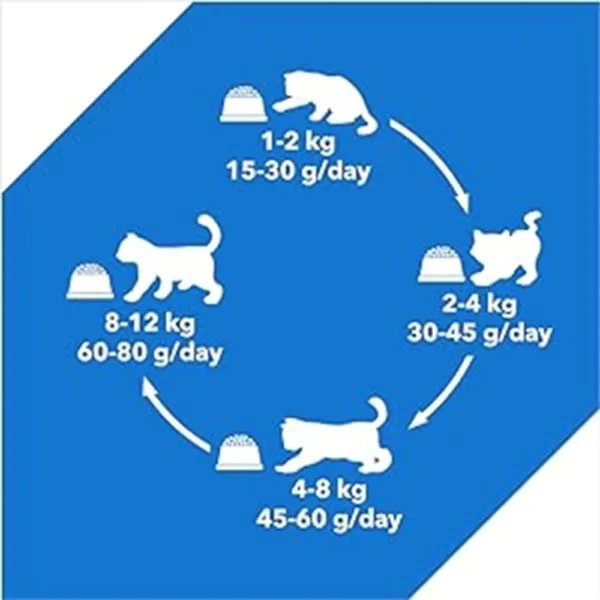Drools Cat Adult Combo 400 GM - Image 4