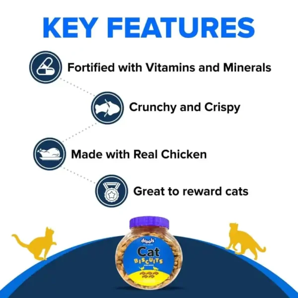 Drools Biscuit's Cat - Image 4