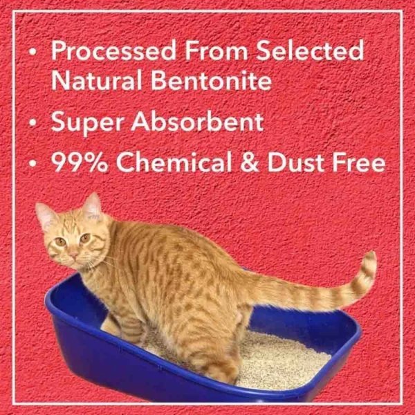 Drools Cat Litter - Image 7