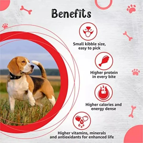 Drools Small Breed Adult - Image 3