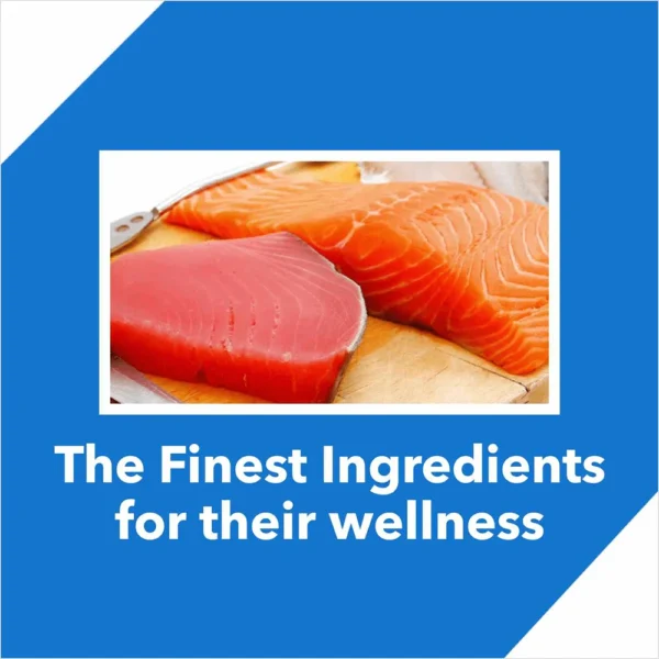 Drools Tuna & Salmon Adult Dry Cat Food - Image 3