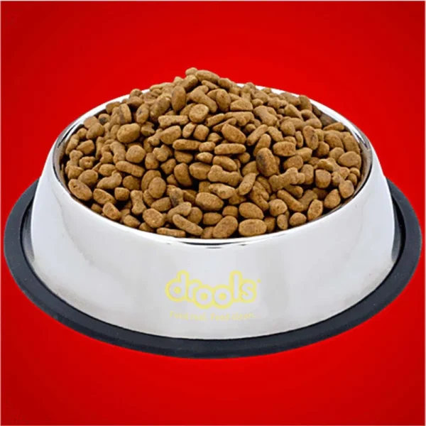 Cat Feeding Bowl - Image 4