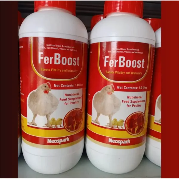 FerBoost - Image 2