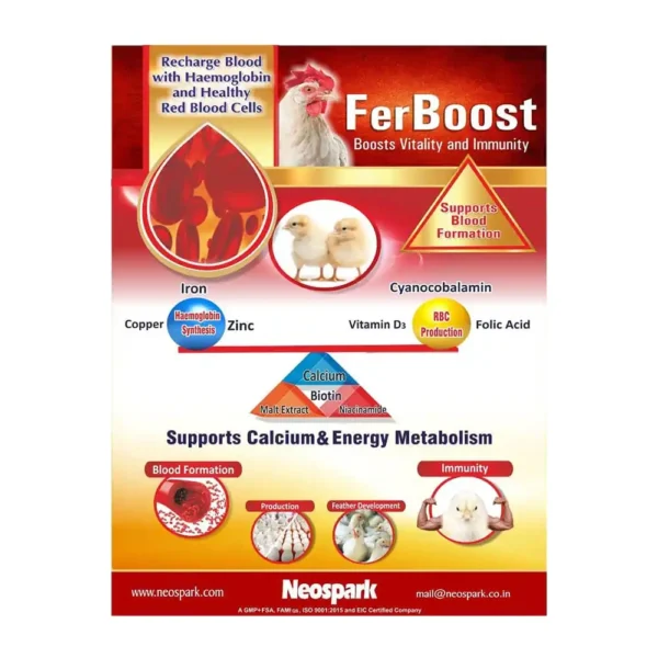 FerBoost - Image 3