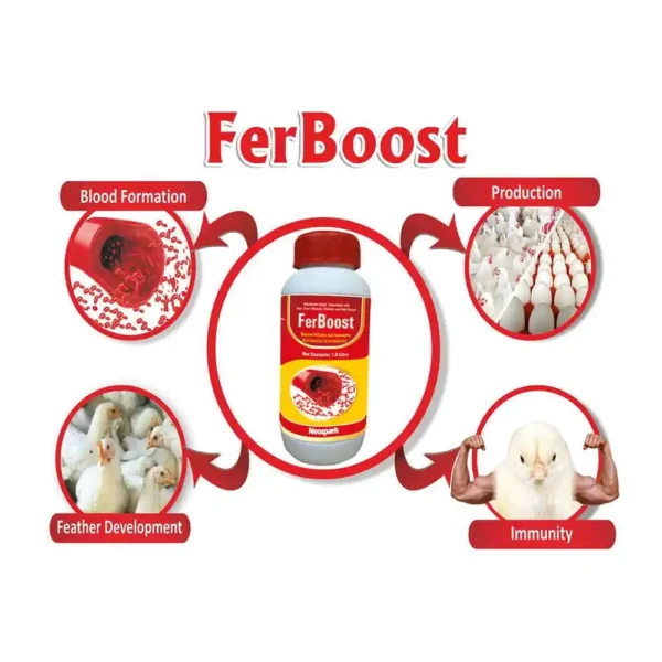 FerBoost - Image 4