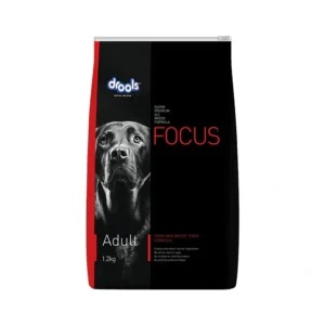 Focus Adult