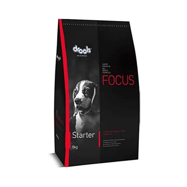 Focus Starter - Image 4