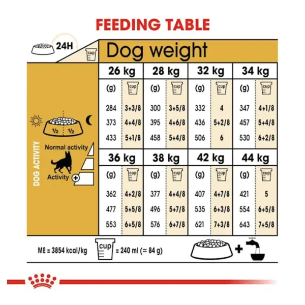 German Shepherd Adult - Image 4