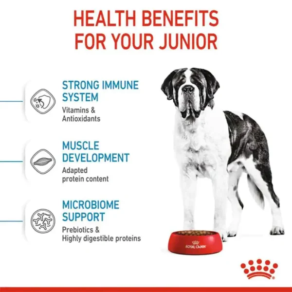 Royal Canin Giant Junior Dry Dog Food - Image 5