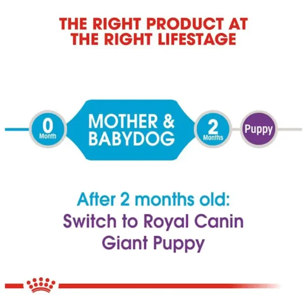 Royal Canin Giant Starter Dry Dog Food - Image 4