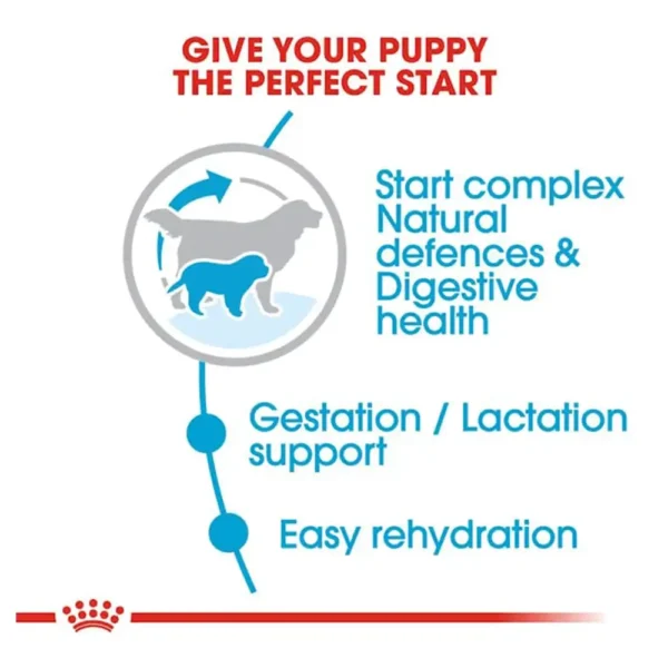 Royal Canin Giant Starter Dry Dog Food - Image 2