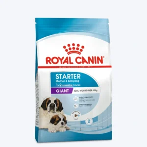 Giant Starter