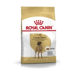 Great Dane Adult