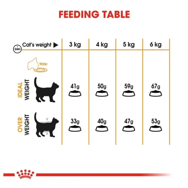Royal Canin Hair & Skin Dry Cat Food - Image 2
