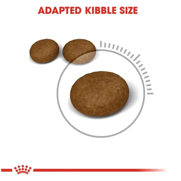 Royal Canin Hair & Skin Dry Cat Food - Image 3