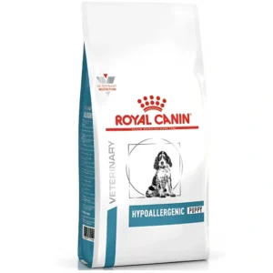 Hypoallerginic Puppy