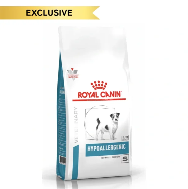 Hypoallerginic Small Dog - Image 4