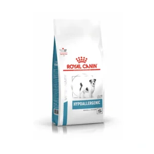 Hypoallerginic Small Dog